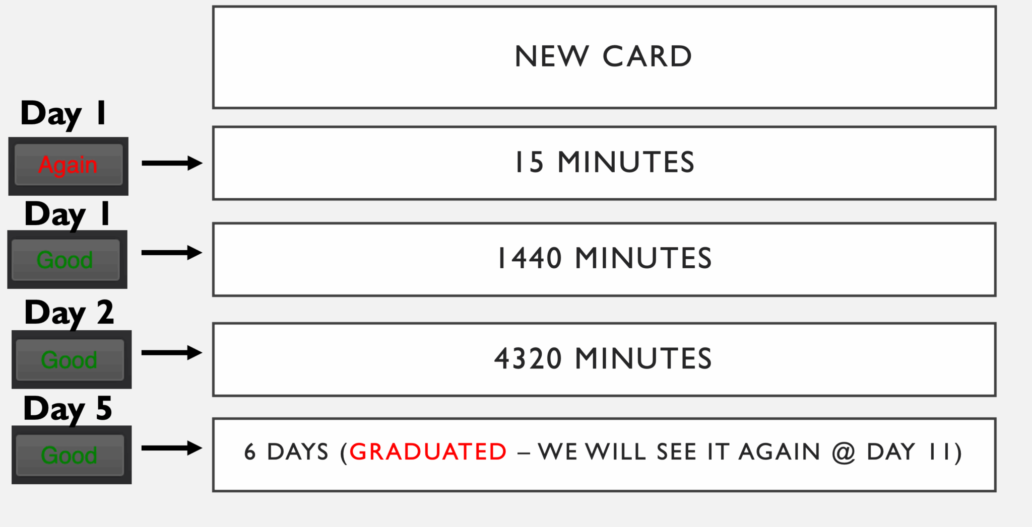 Anki card scheduling example